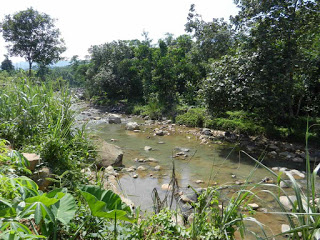 sungai cikeas kws camping ground sentul
